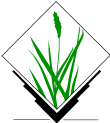 _images/grass-logo.png
